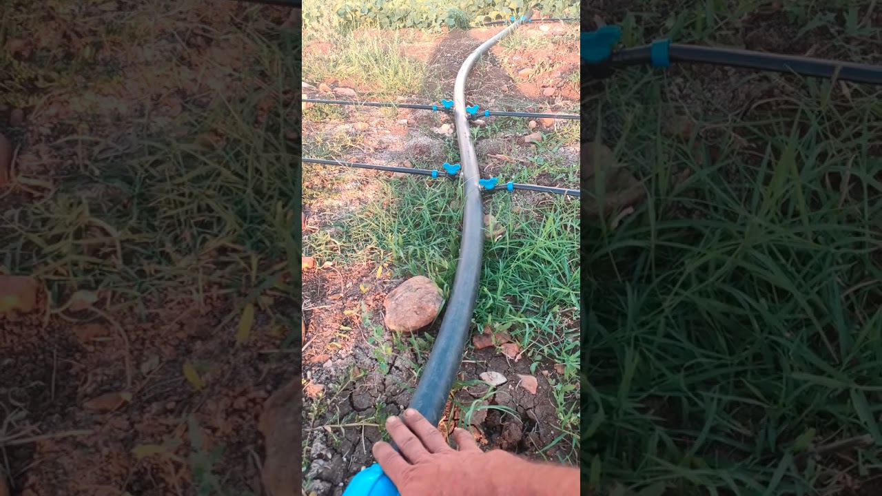 Doğru Damla Sulama Sistemi Nasıl Kurulmalıdır?