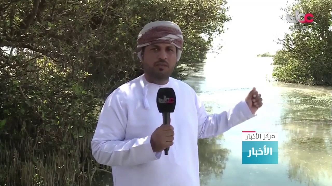 وادي ذرف وجهة سياحية جذّابة في ولاية الدقم بمحافظة الوسطى