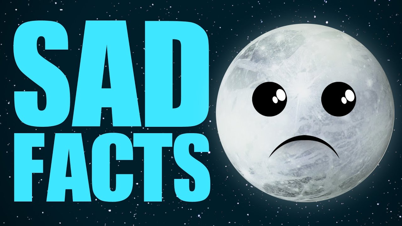 The Saddest Facts You'll Ever Hear