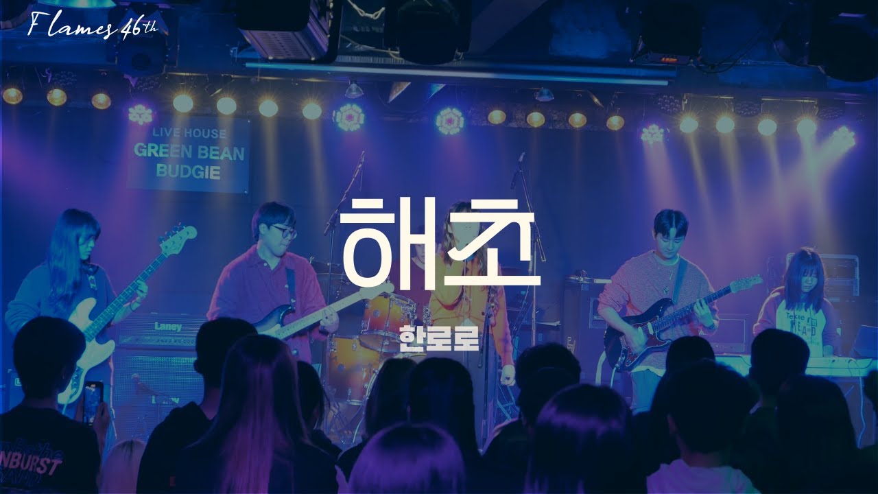 [2024 가을 노천의 밤] 한로로 - 해초