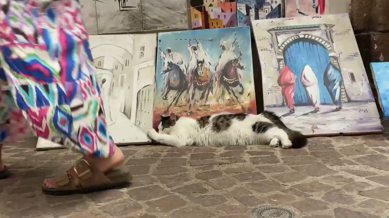 Essaouira - Shot on iphone 12