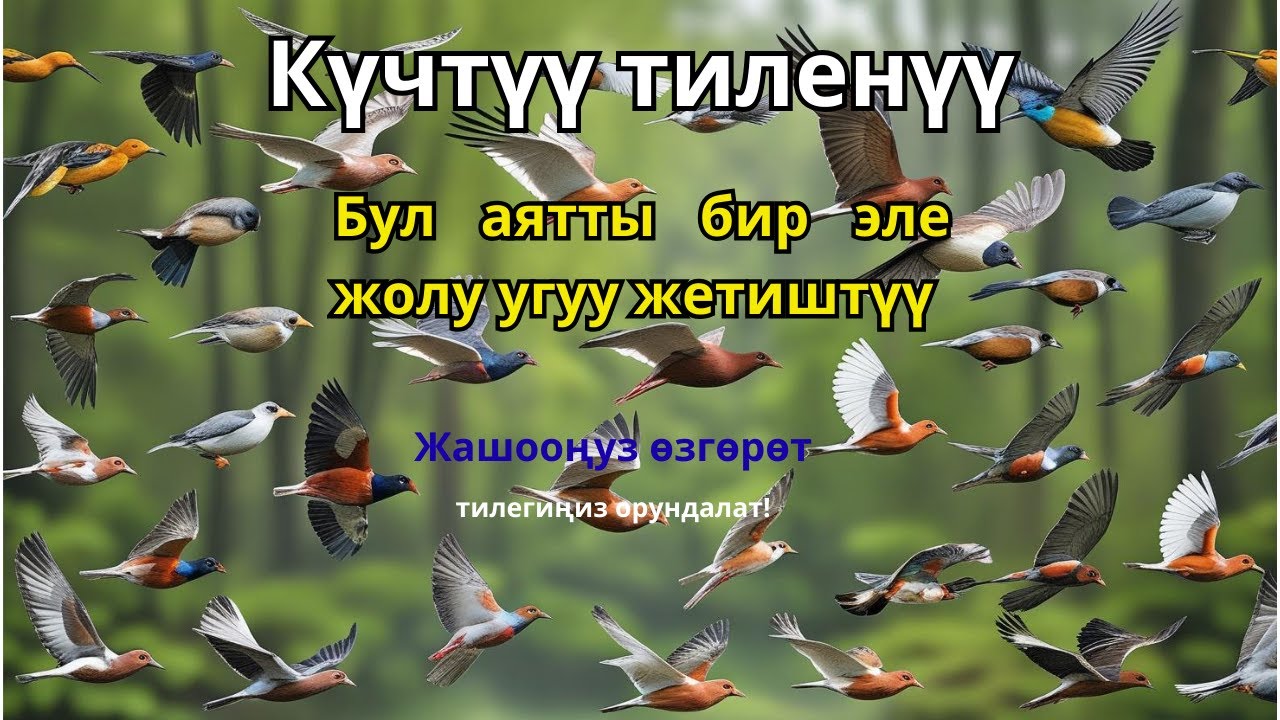Күтүлбөгөн ооматка жол ачкан керемет сүрө