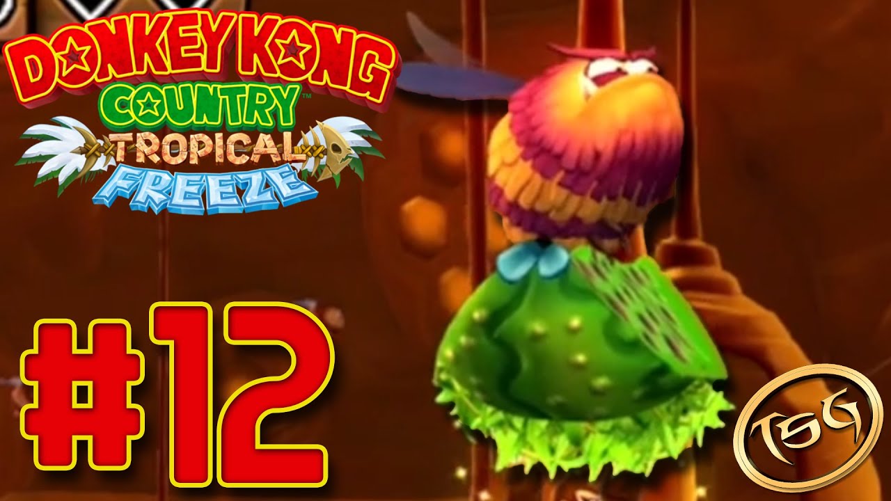 DKC: Tropical Freeze #12 - Dyslexic - TSG
