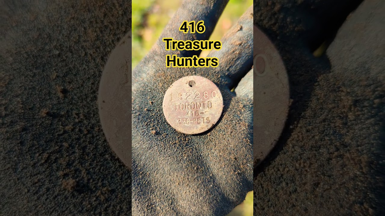 Собачьи жетоны 