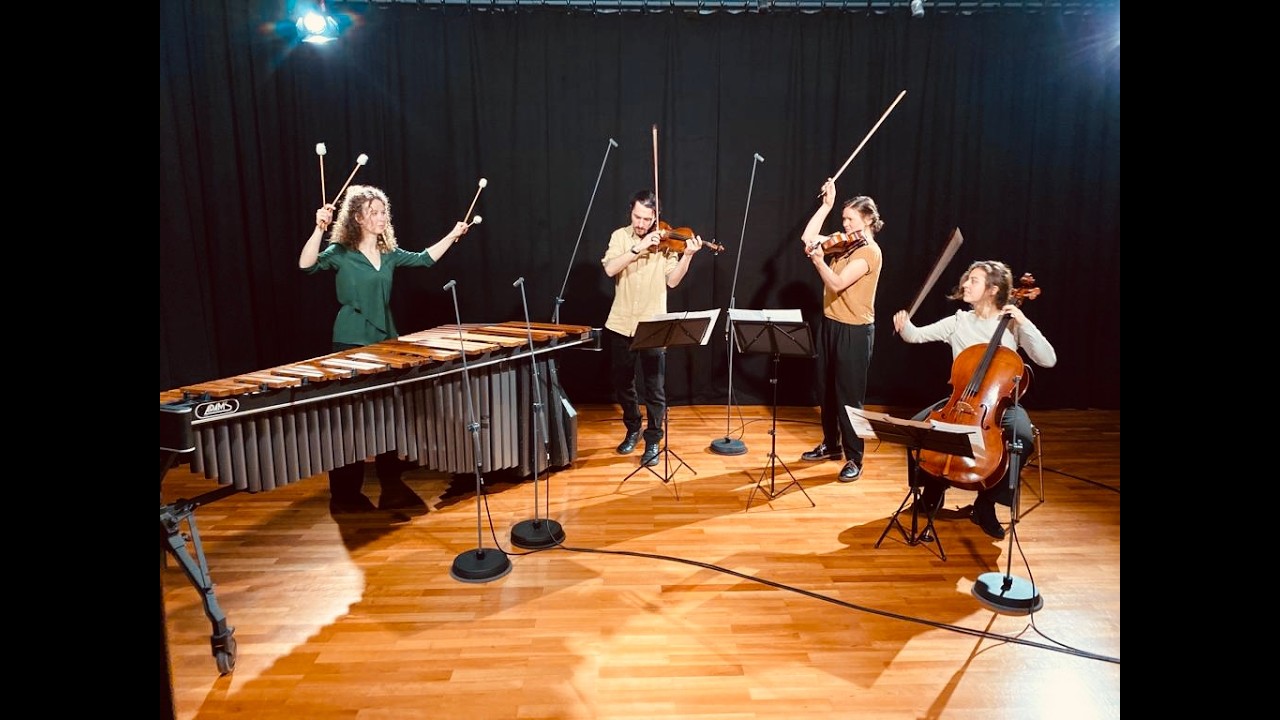 Up in the woods - Marimba & Streichtrio