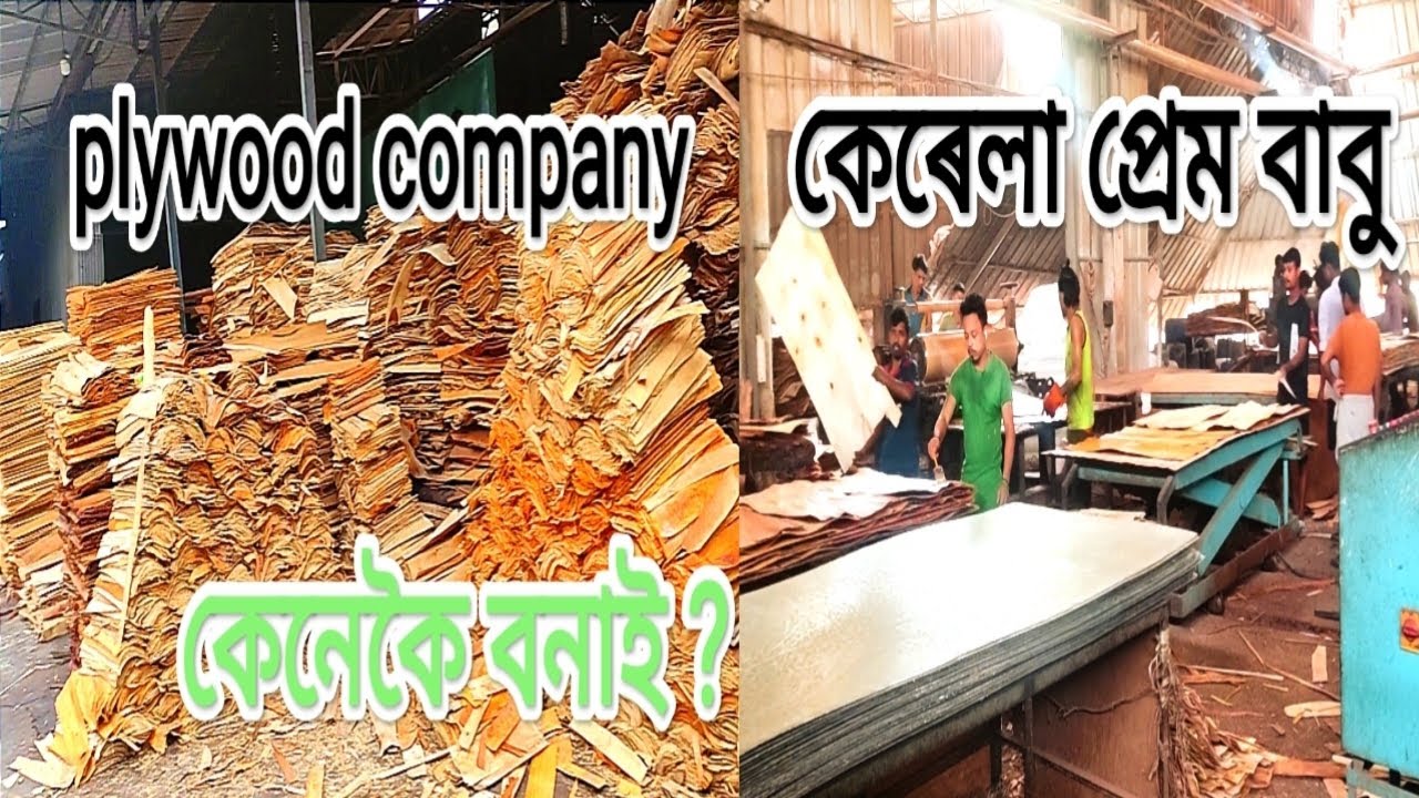 making of plywood.কেনেকৈ বনাই ?PLY WOOD  INDUSTRY.prem babu .kerala.