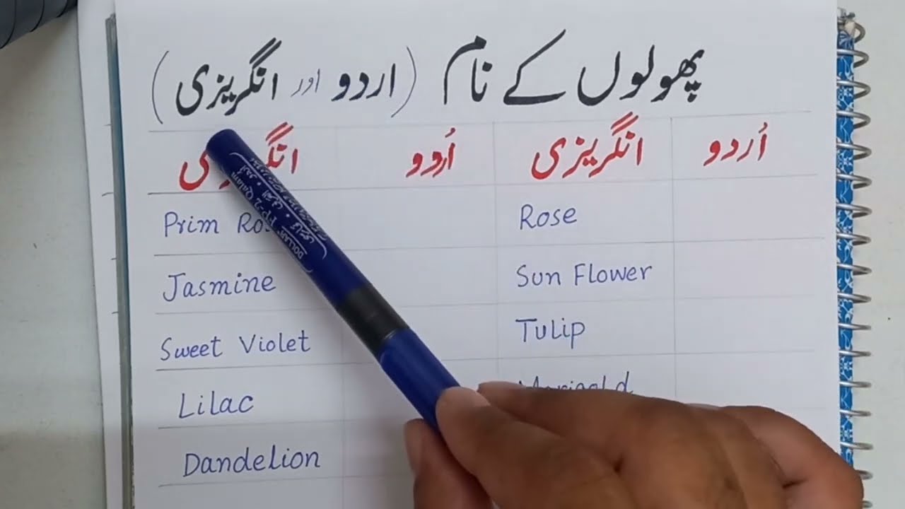 Flowers Name in Urdu│Phoolon kay Naam │پھولوں کے نام