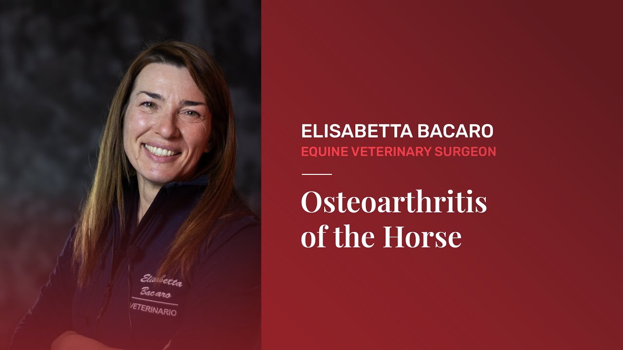 Osteoarthritis of the Horse