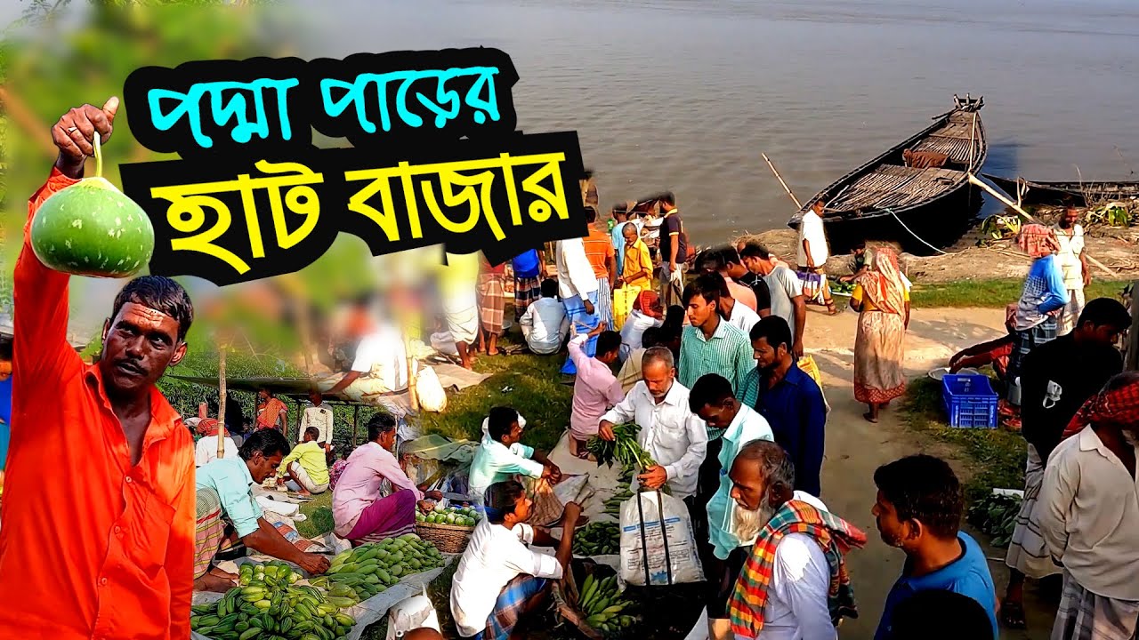 পদ্মা পাড়ের হাট বাজার | রাজশাহীর চর চকরাজাপুর হাট | Village Market | Rajshahi | Bangladesh
