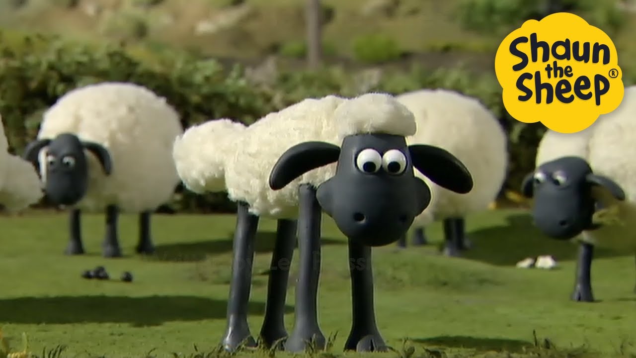 🤣 Shaun Makes Everyone Laugh – 1 Hour Compilation