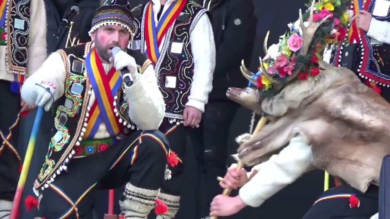 CERBUL din ZBERENI - Tradiții românești de Anul Nou - 2 ianuarie 2025 (Târgu Neamț, România)