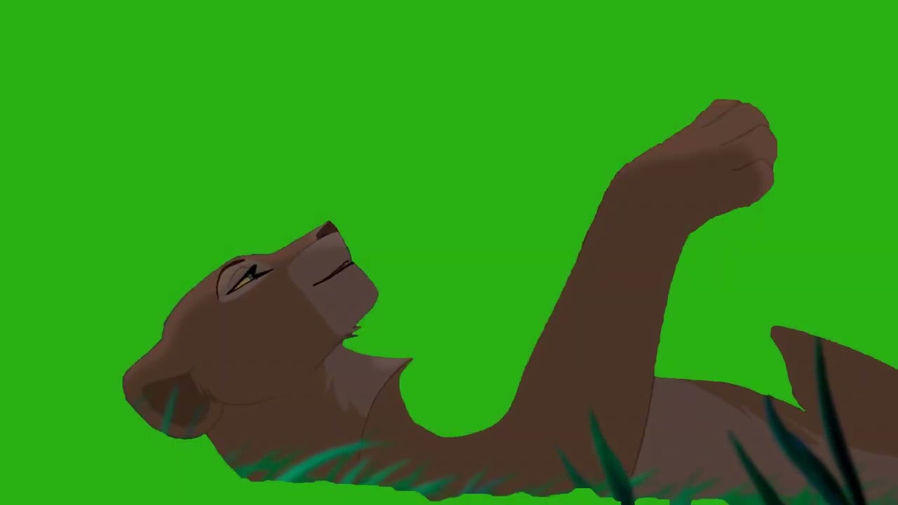 Nala masking pack (read description)