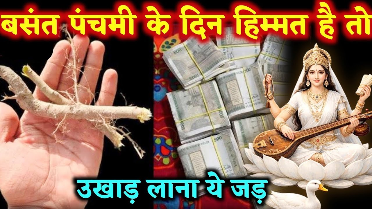 22 जनवरी 2026 बसंत पंचमी के दिन हिम्मत है तो इस जड़ को उखाड़ लाना चोरी से | Daily Astrology Update