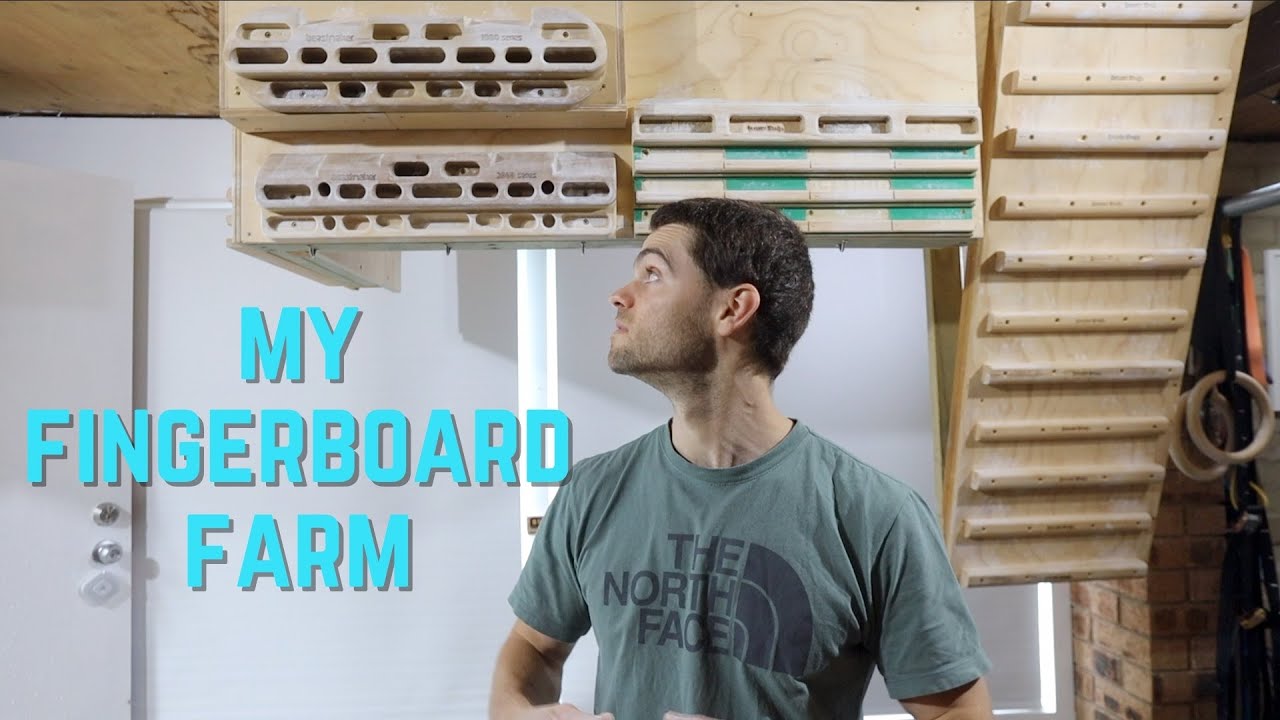 Fingerboard full tour + projects! My home set up