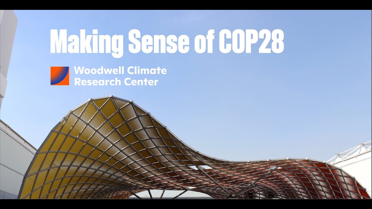 Making Sense of COP28
