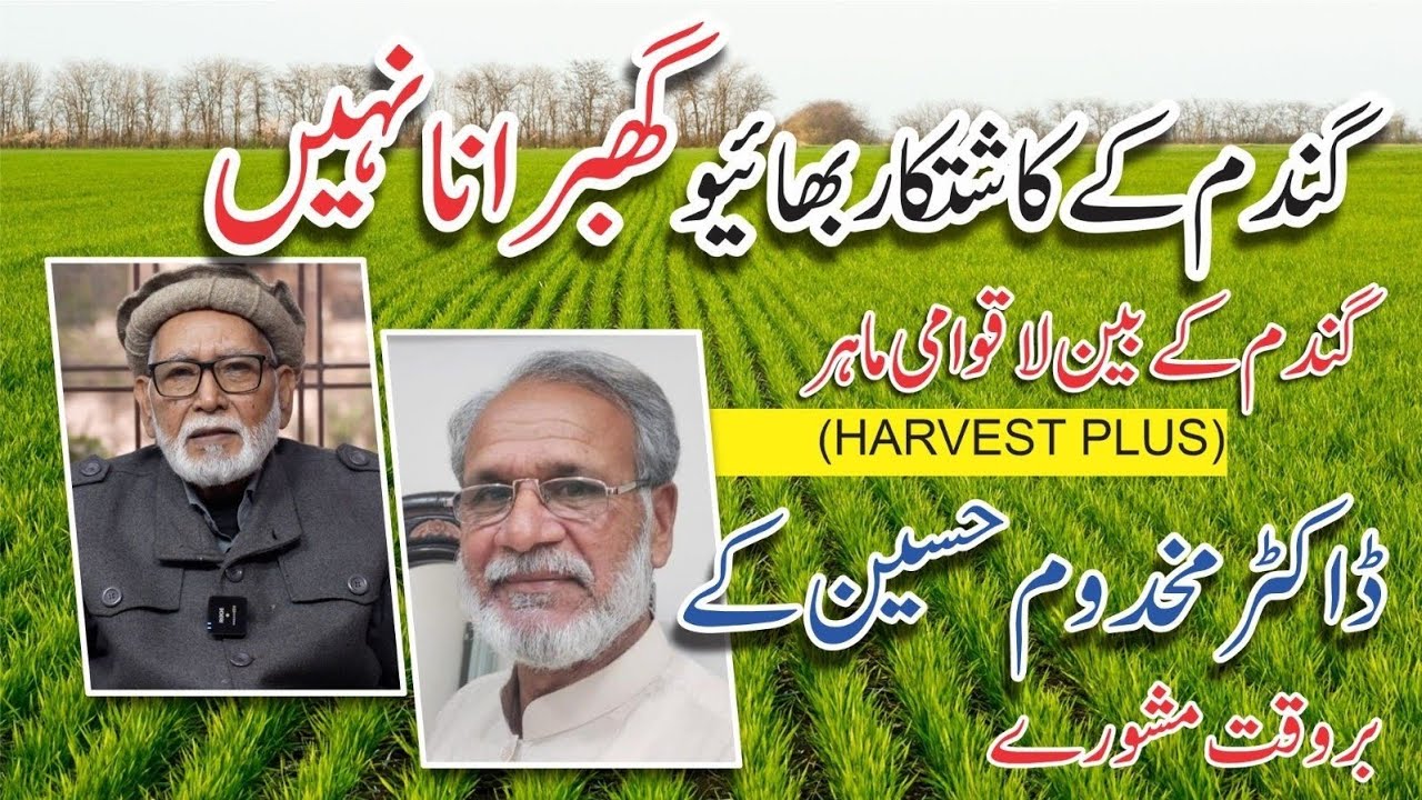 Action plan given by an int breeder to Pakistani wheat growers to get higher yield