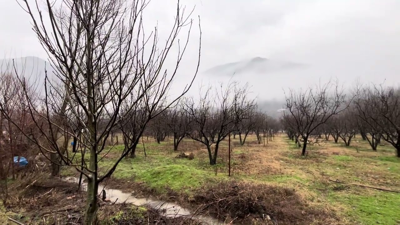 Puslu hava; köyde huzur şehirde korku