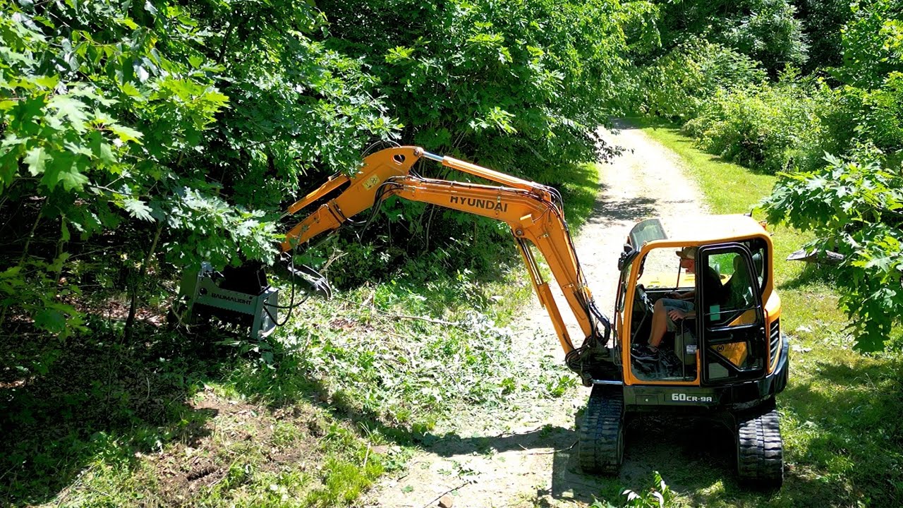 Clearing An Overgrown Driveway