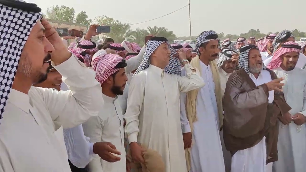 هوسات آل طرك ال بونصر ال عصيده بحق الشيخ ديوان آل هنين في فاتحت فيصل ال بردان