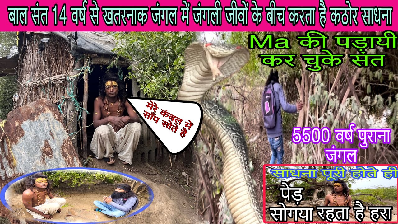 बाल संत 14 वर्ष से खतरनाक जंगल में जंगली जीवों के बीच करते है कठोर साधन 5500 हजार वर्ष पुराना जंगल 