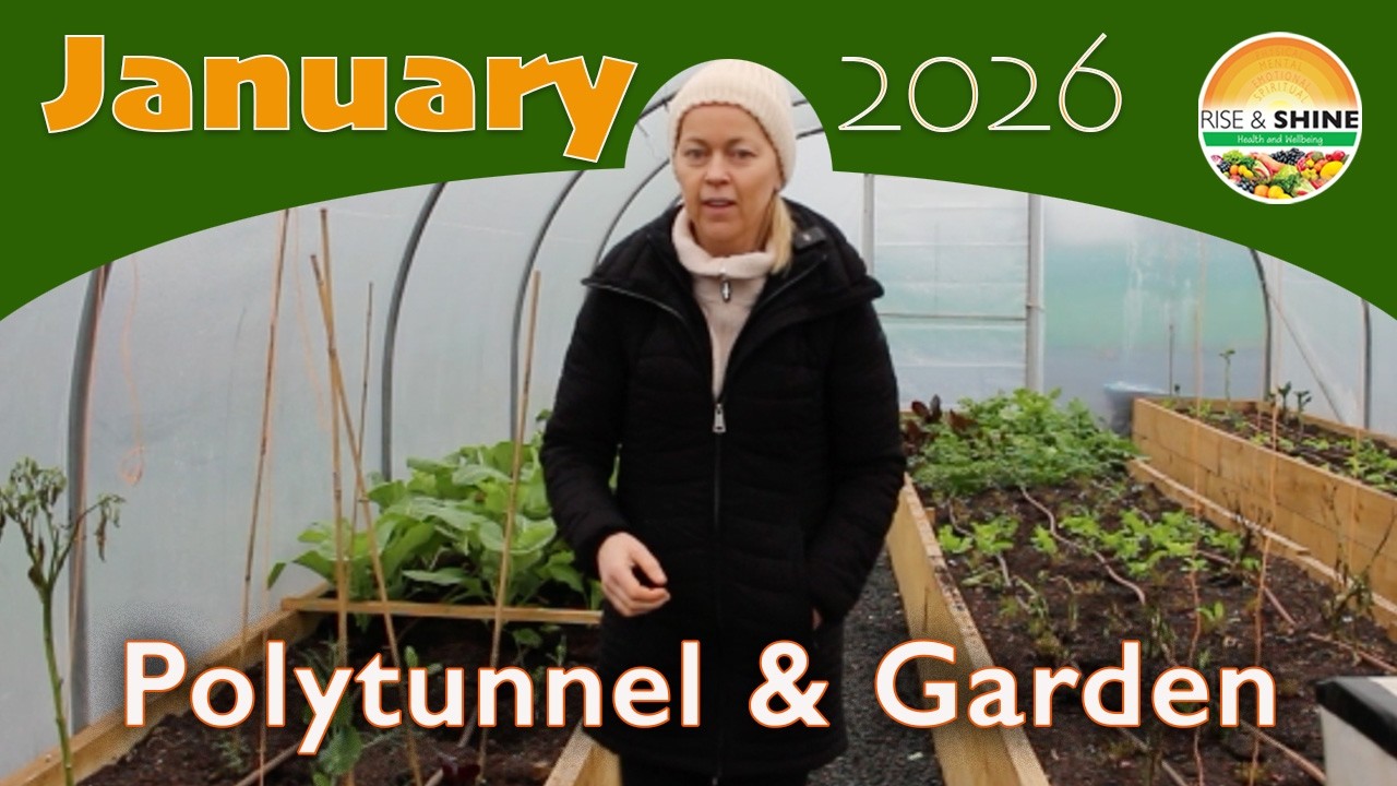 Polytunnel & Garden   January 2026