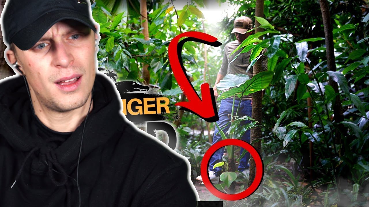 Diese Pflanzen h&auml;tten uns gerettet! -Pottplanter | Joris reagiert