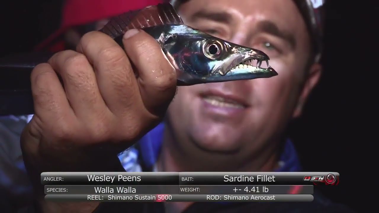 Wala Wala fishing in Durban Harbour | ASFN Fishing