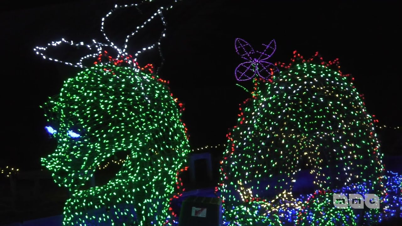 Brookside Gardens Garden of Lights 2023