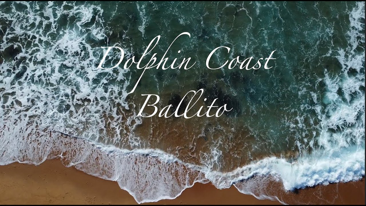 Hundreds of Dolphins swimming in Ballito North Coast South Africa