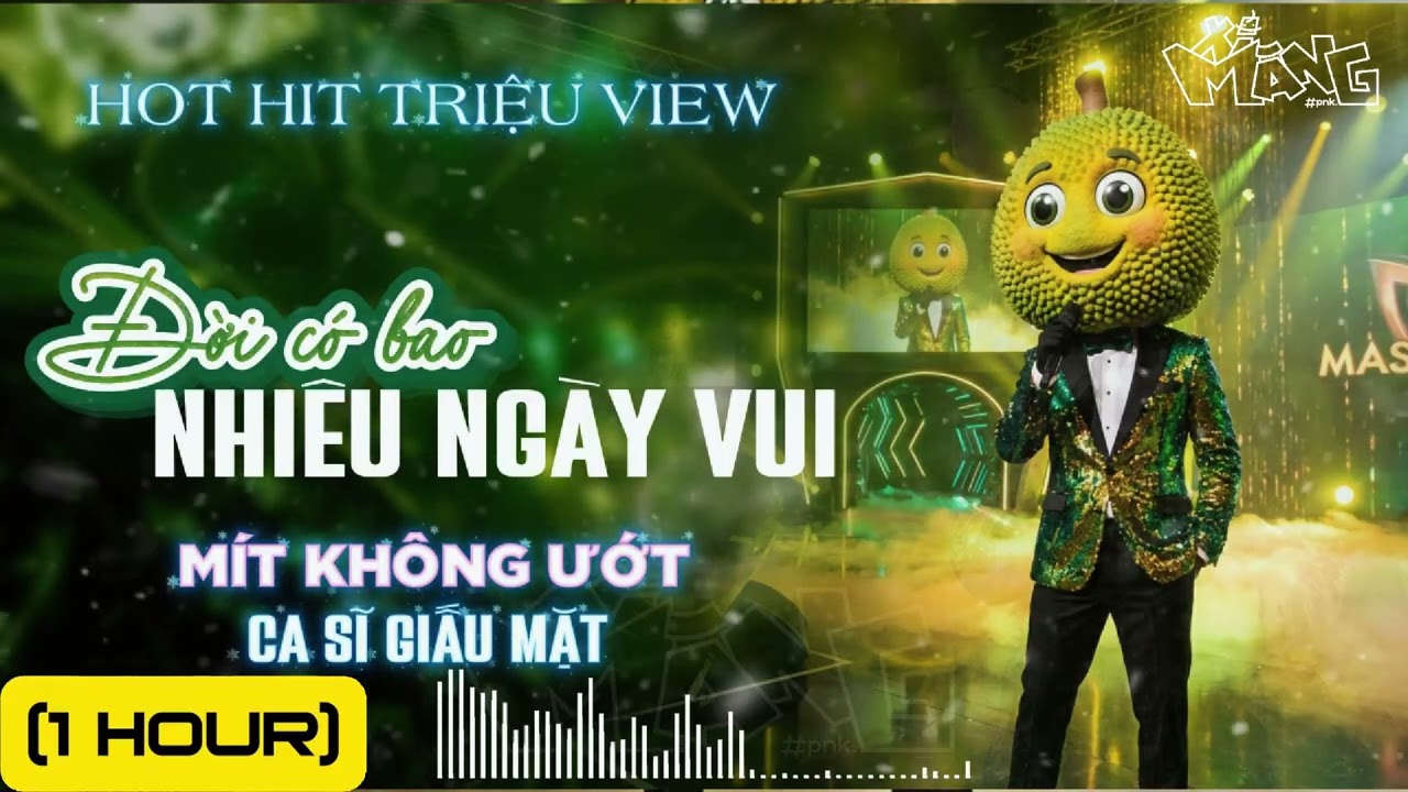 [1HOUR] ĐỜI CÓ BAO NHIÊU NGÀY VUI | Ca sĩ giấu mặt COVER | Bản Hot TikTok Hit Triệu View