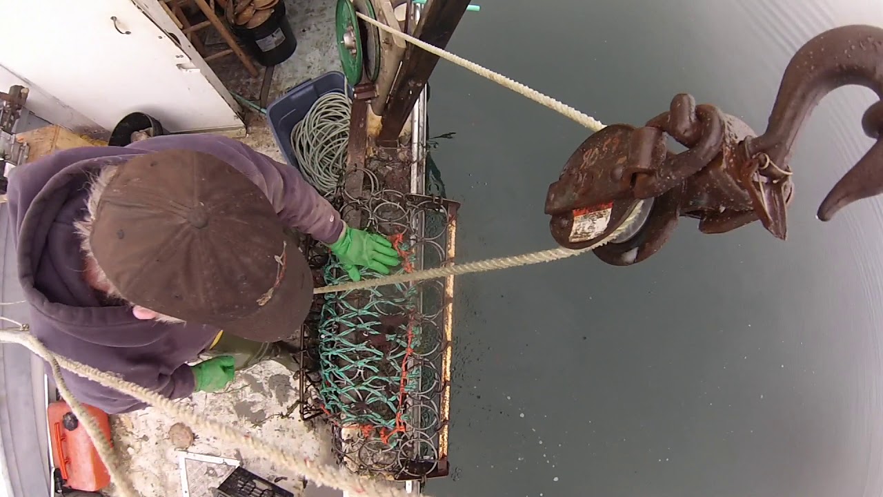 Scalloping 3/14/19