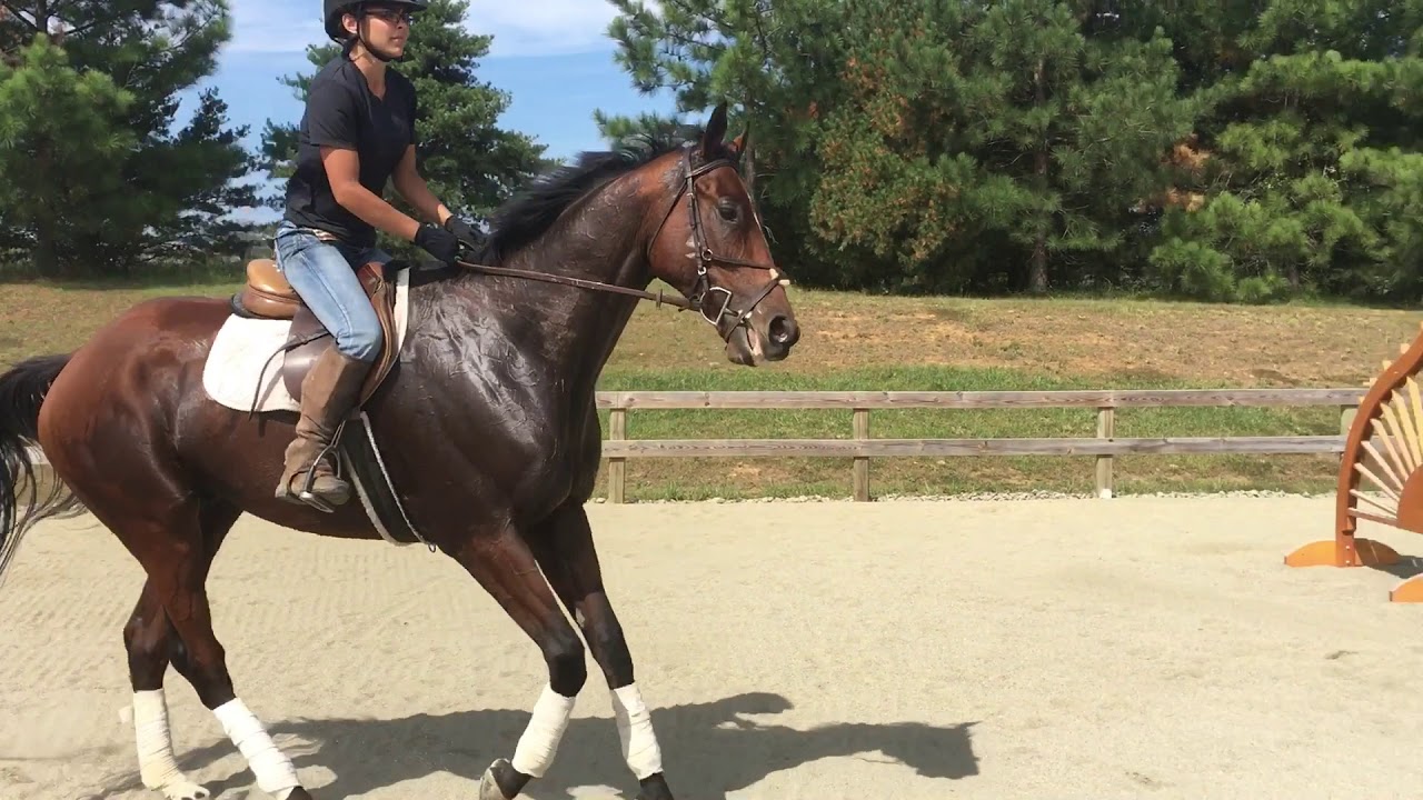 Biaviian Jump