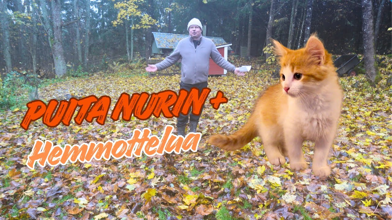 Puita nurin & Hemmottelua