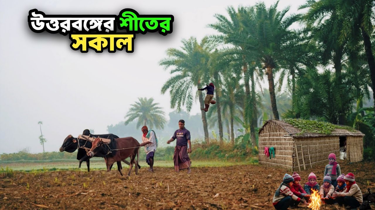উত্তরবঙ্গের শীতের সকাল | কুয়াশা ও খেজুরের রসের গল্প | Village Winter Morning