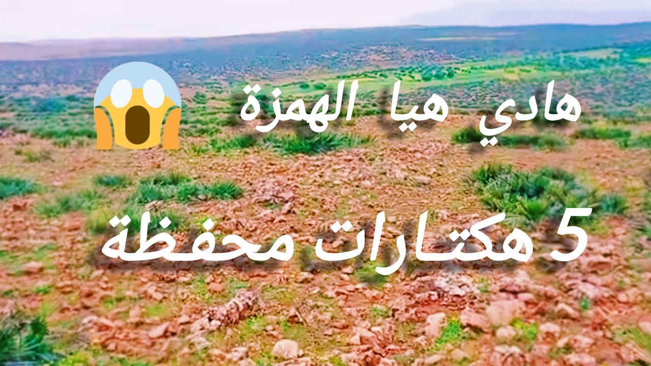 ❌✅ تم البيع ✅❌ . أرض تيتر محافظة مساحتها 4 هكتارات و 9000 متر بثمن 26 مليون . الهاتف :  0652902061