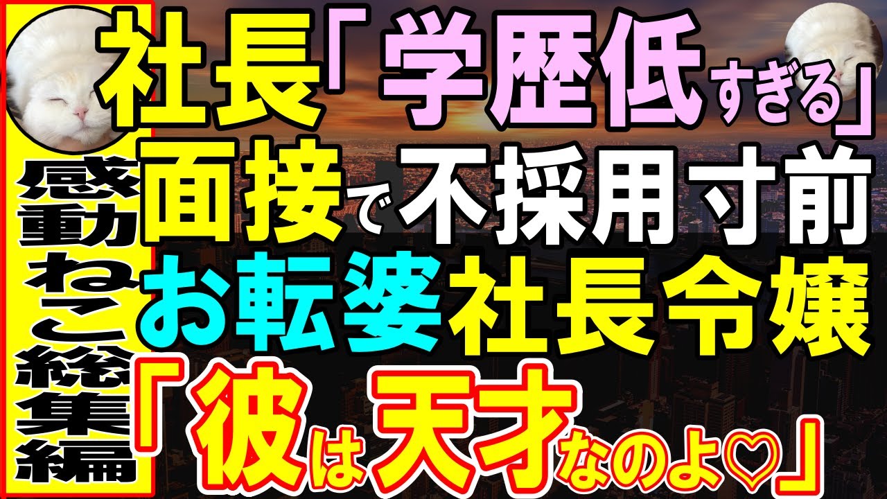 【感動する話】最終面接で俺を不採用にしたエリート社長「高卒はダメだ 」すると直後、激怒した面接官の社長令嬢が近づき「彼の正体に気づかない？」社長「え？」実は俺は…【いい話・泣ける話・朗読】