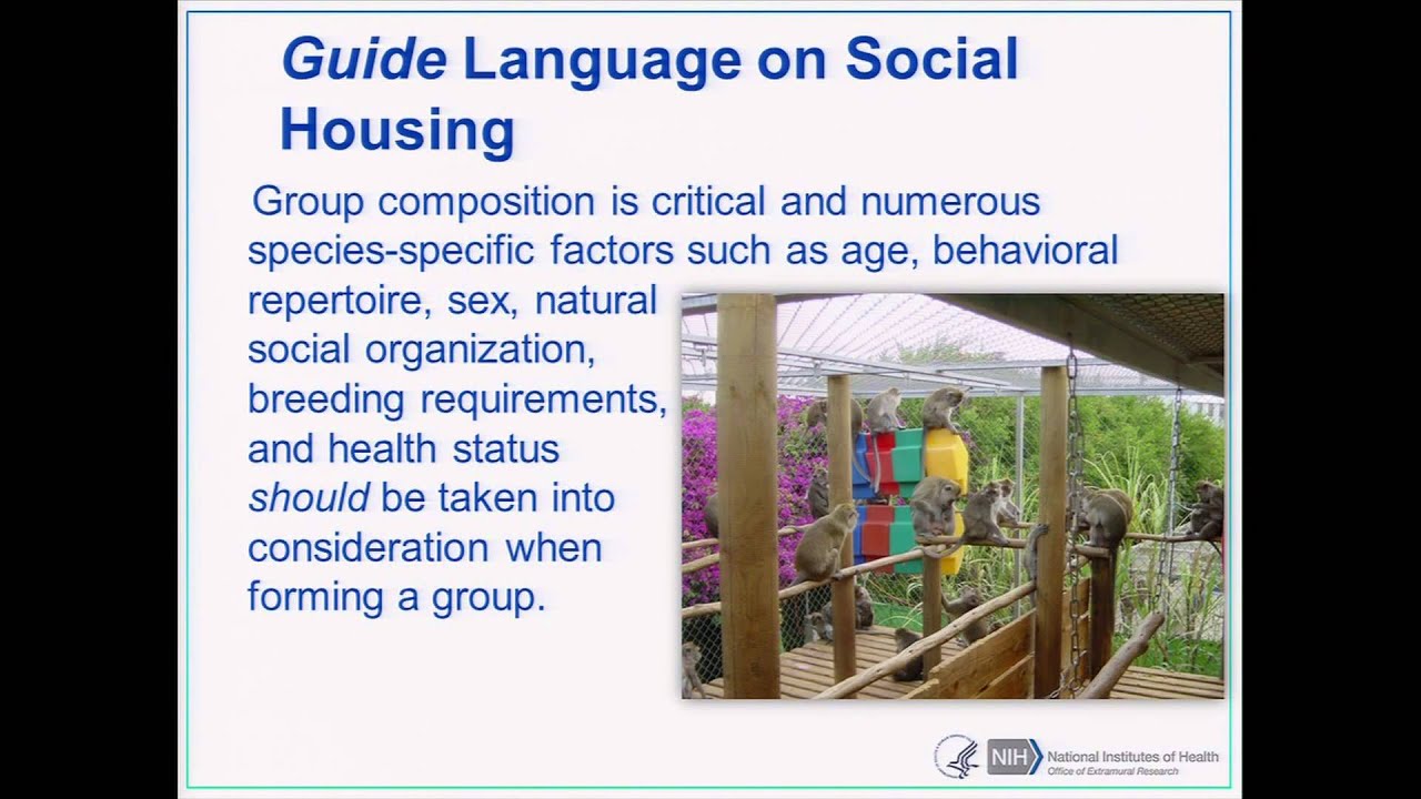 Federal Oversight and Peer-Review Perspectives on Social Housing