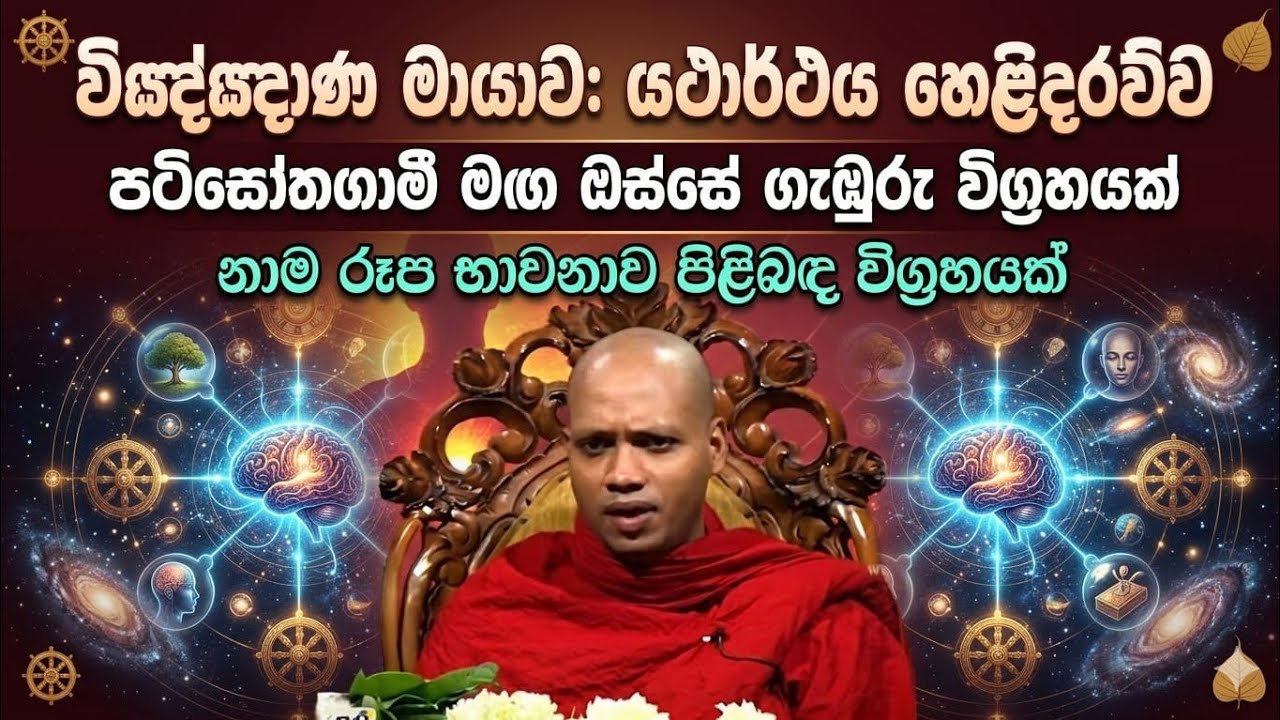නාම රූප භාවනාව | Nama rupe  | Ven Hasalaka seelawimala Thero | පටිසෝතගමි මඟ #පරමාර්ථදේශණා 