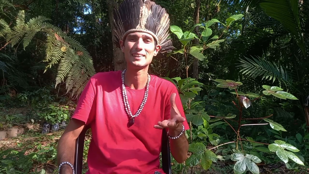 Planta que derruba Feitiçaria