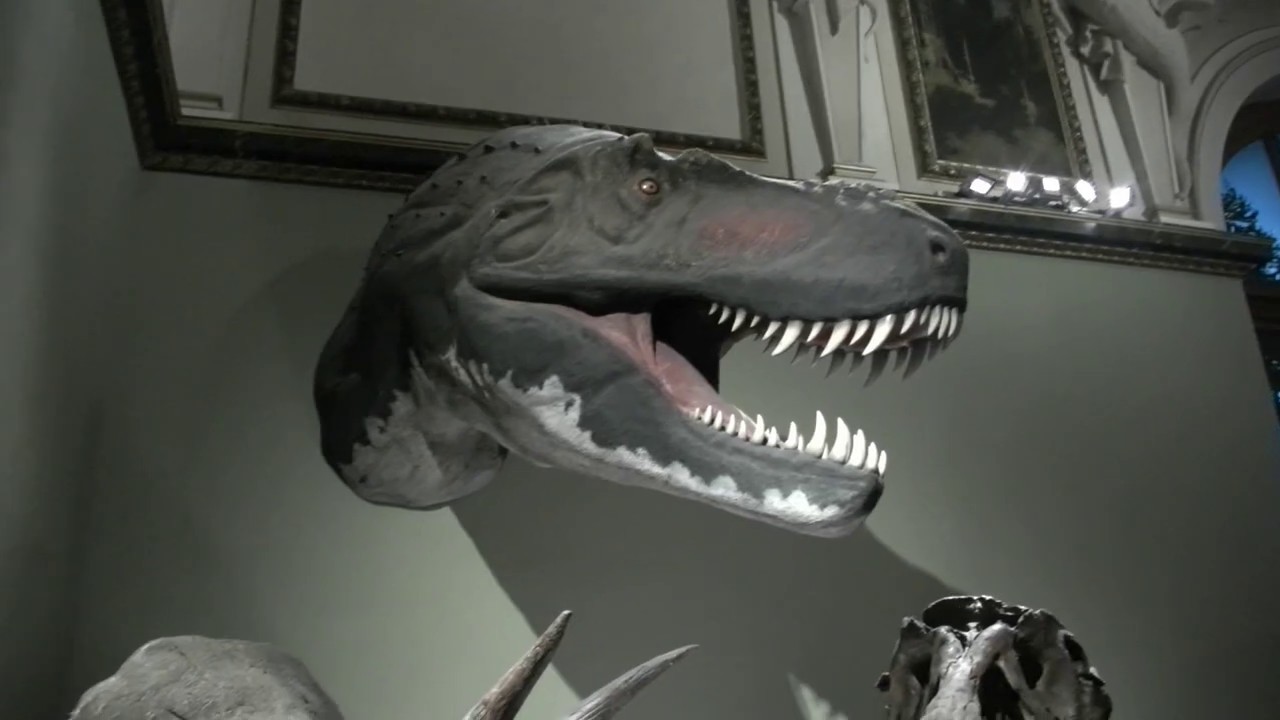 Př&iacute;rodovědeck&eacute; muzeum V&iacute;deň Naturhistorisches museum Wien Natural History Museum Vienna dinosaurus