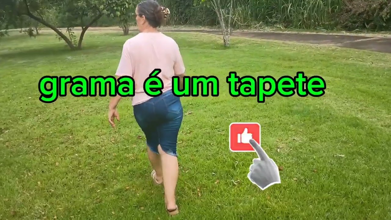 Vem comigo um final de dia & eu e ele,shou vale apena 