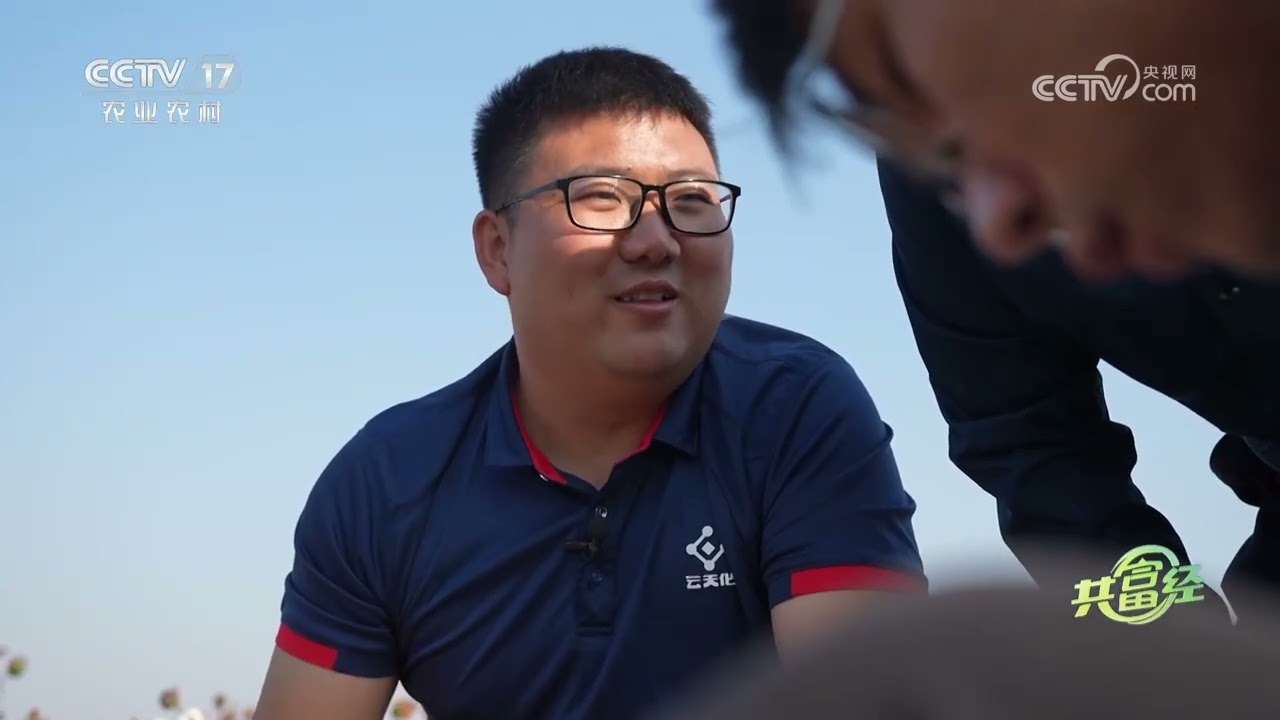 《共富经》 20251129 棉田里的丰收密码 | 农业致富经 Agriculture And Farming