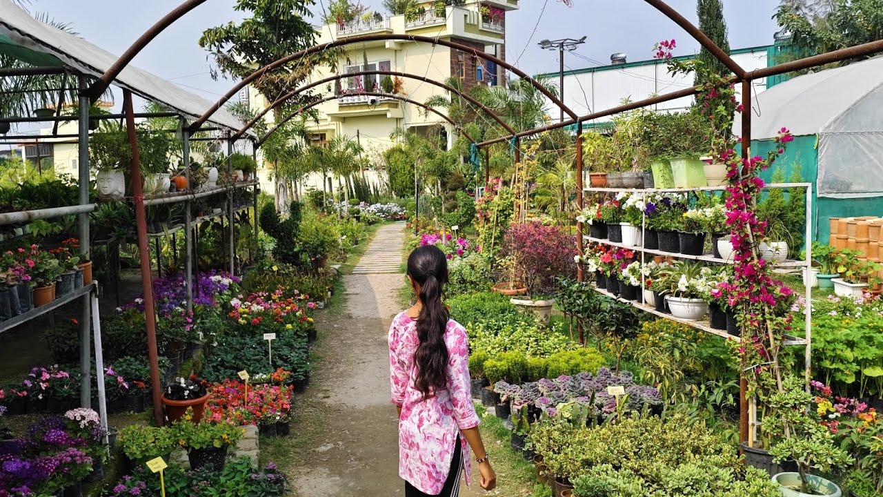 Nursery Vlog 🌸 Itne Saare Beautiful Plants! | + Match Night