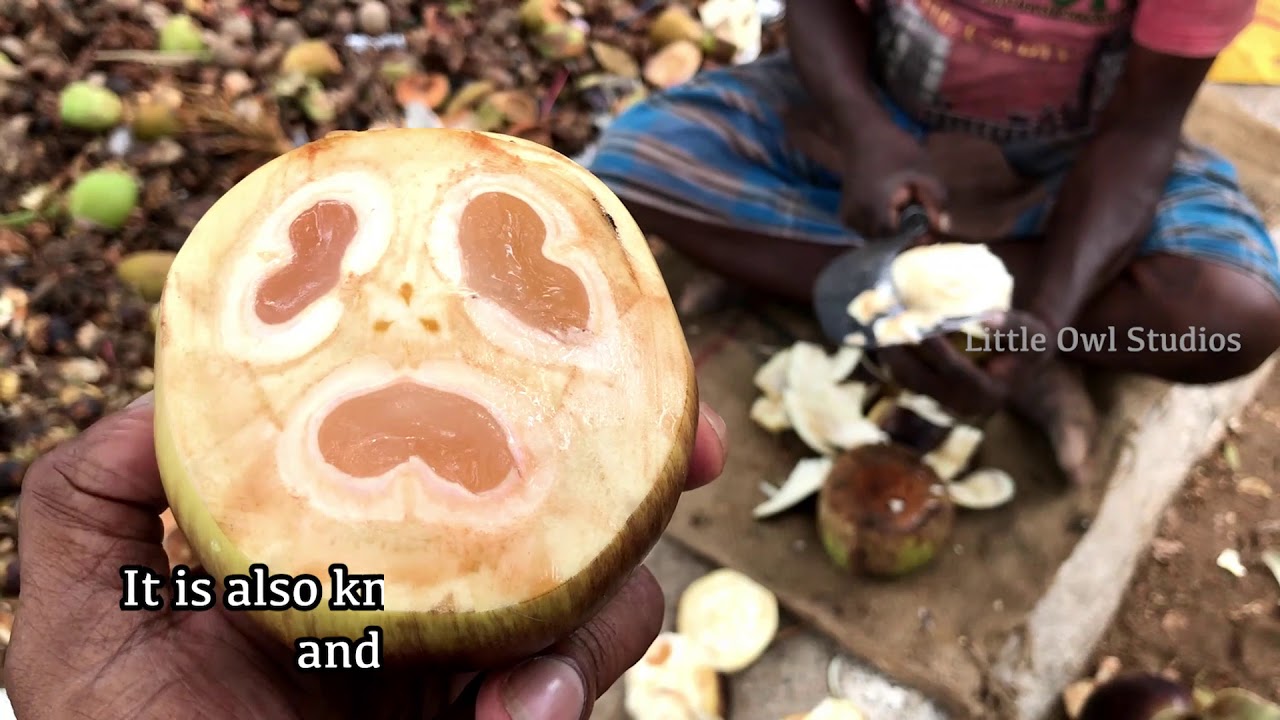 Palm fruit benefits | Indian fruits | Rare fruits | Fruits in extinct