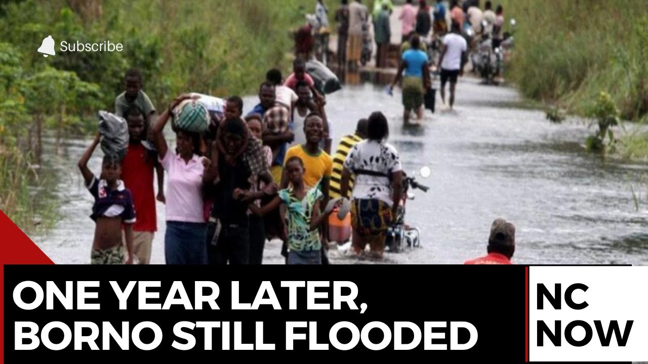 Borno Floods: One Year On, Communities Still Struggle With Aftermath