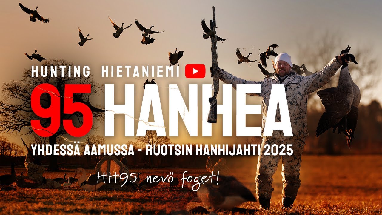 95 HANHEA AAMUSSA - Hanhi- ja sikajahtia Ruotsissa 2025 | Goose and wildboar hunting in Sweden