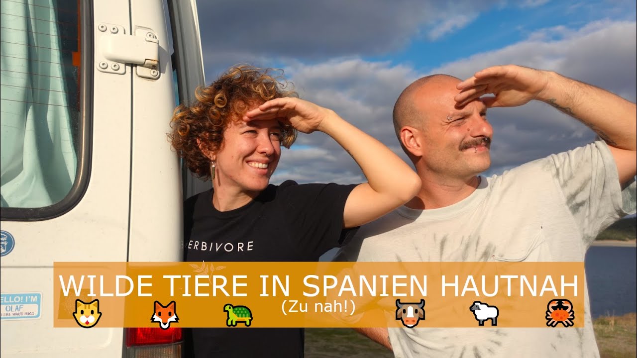 Vanlife Wildlife | Belästigt von wilden Tieren | Olaf In A Van