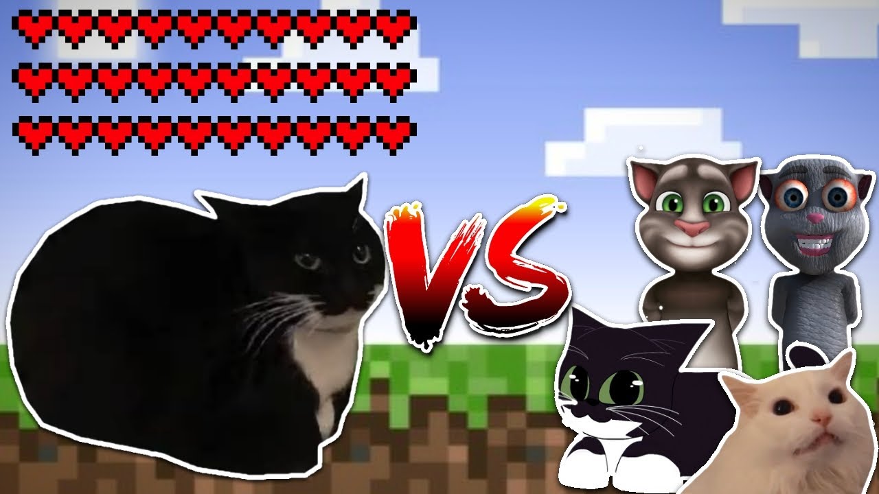 Giant Maxwell cat vs all cats! Meme battle