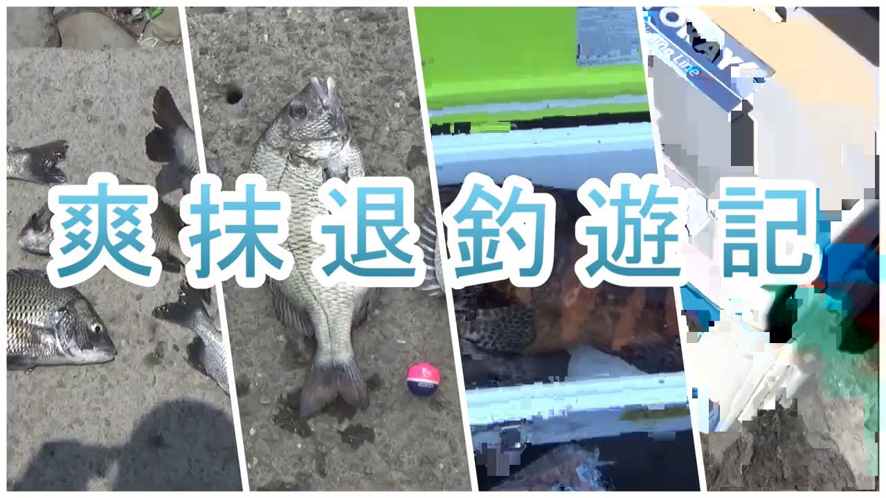 PE遠投全泳層  台南市 曾文溪出海口 港仔西蚵寮PII