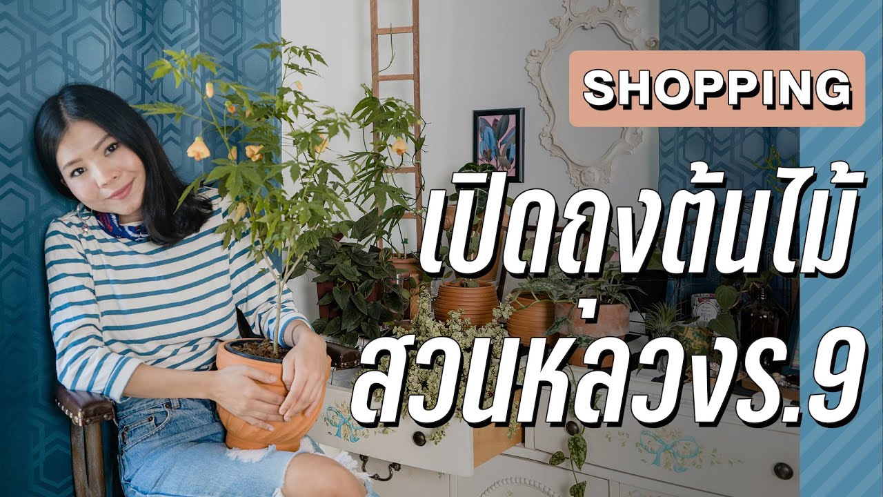 เปิดถุงต้นไม้ จากงานสวนหลวงร.9 #เปิดถุงต้นไม้ #สวนในบ้าน #สวนในห้อง